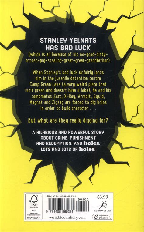 holes book blurb